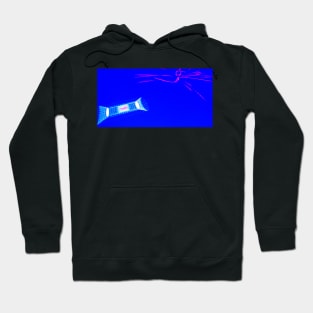 CERN Particles Display Hoodie